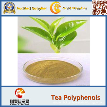 Extrato natural do chá de 100% Java do fornecedor da fábrica do PBF 40% Polyphenols